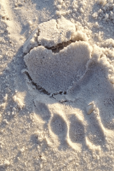 image of a footprint in the sand with a heart in the heel