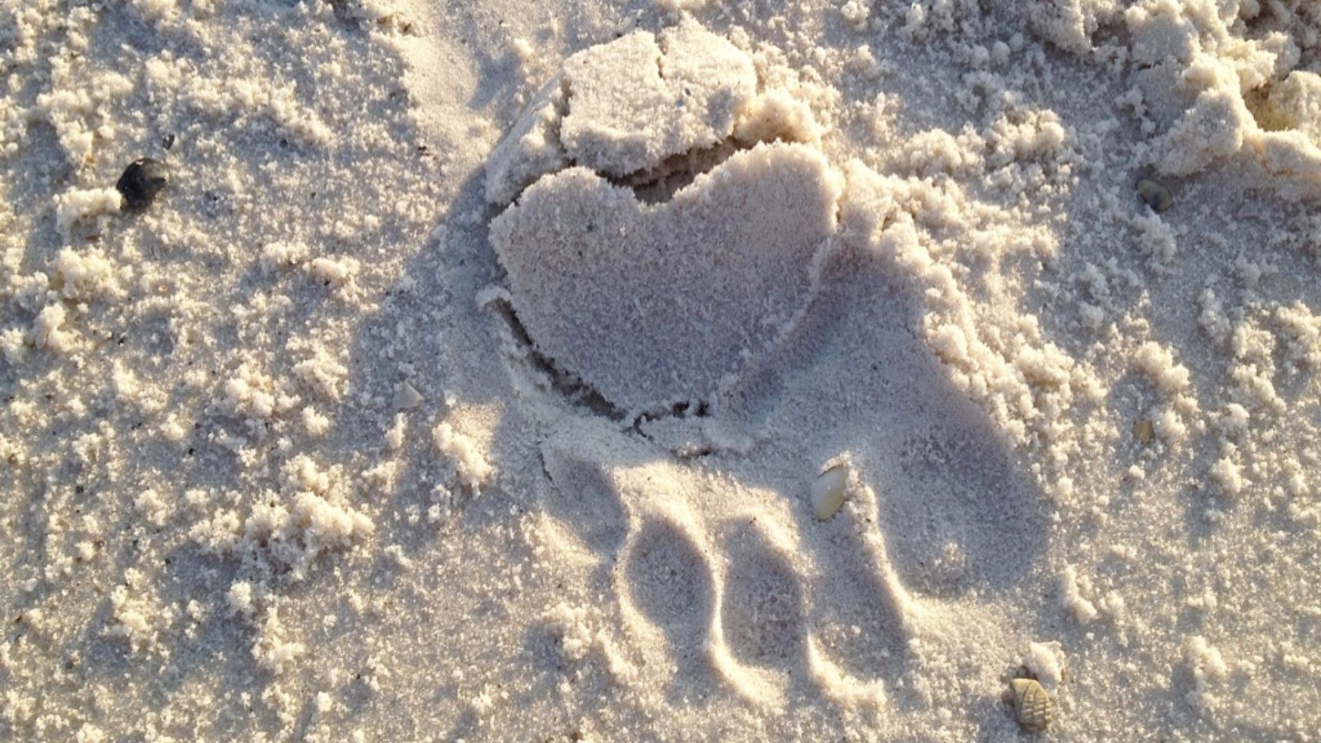 footprint in the sand where the heel is a heart
