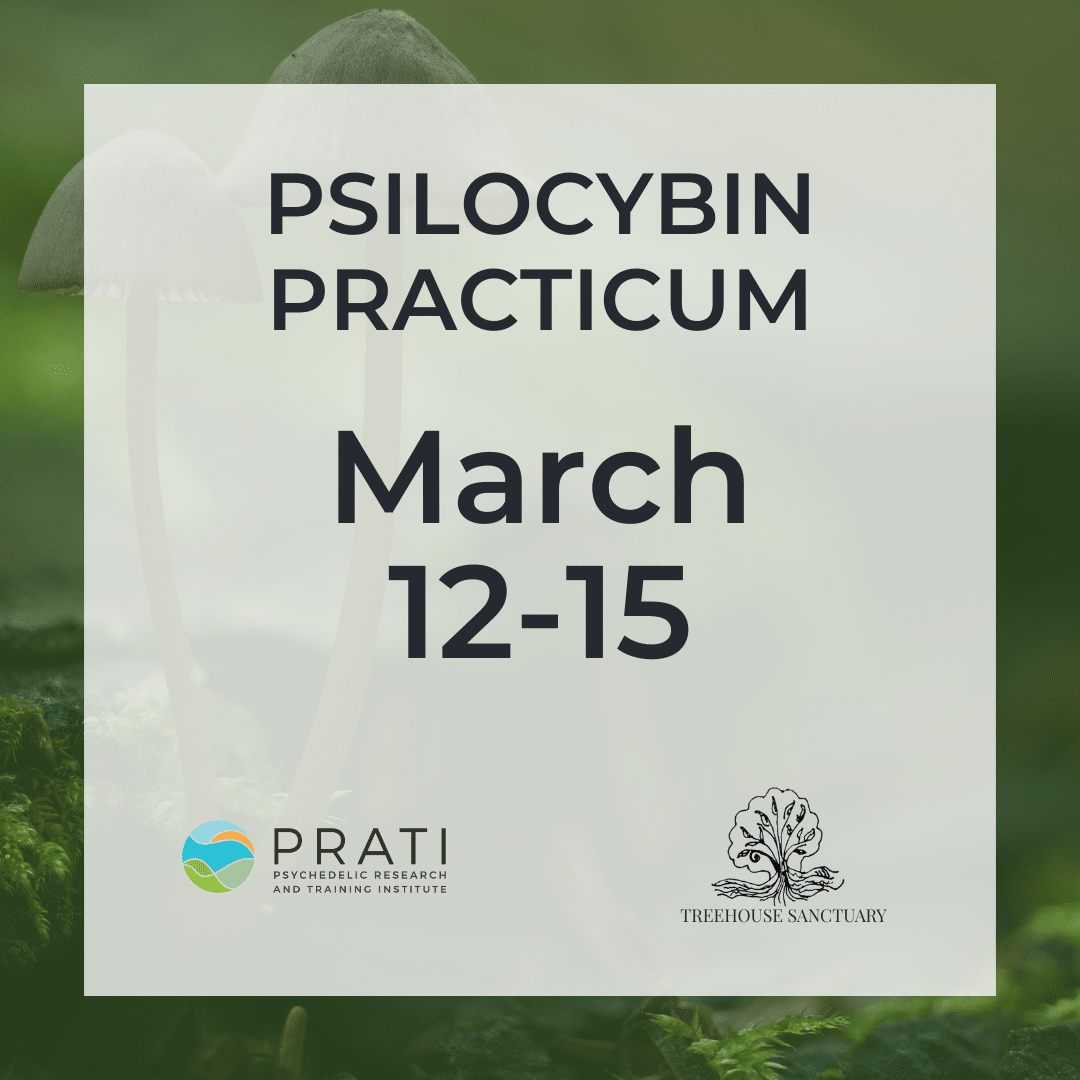 image with text "practicum experience nov 13-16" overlayed on it