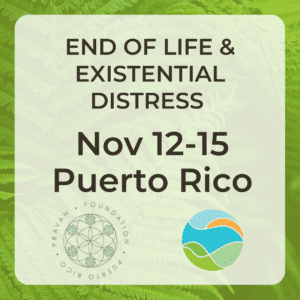 Standard Ticket - End of Life & Existential Distress Psychedelic-Assisted Therapy Training: November 12-15, 2026